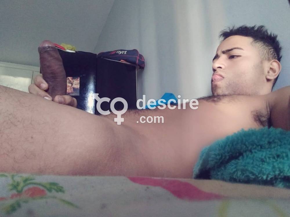 VICIOSO 24H CAÑERO LECHERO