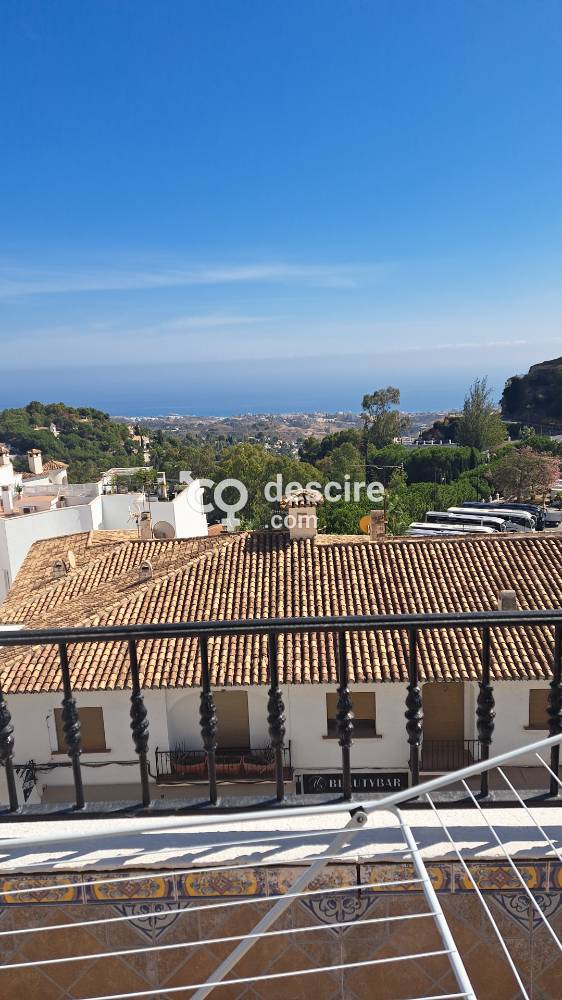 Rubia sexy divertida inglesa con apartamento