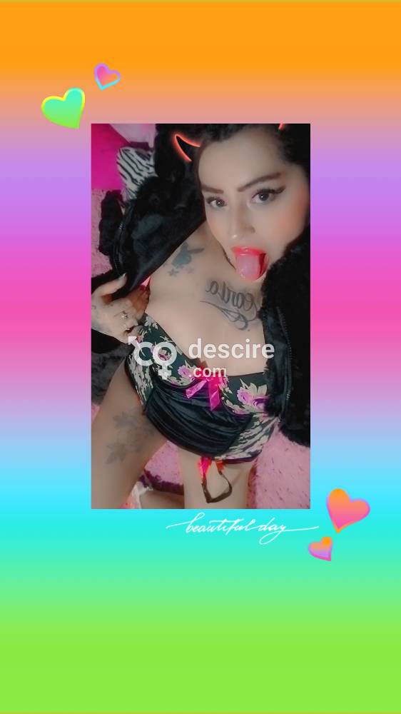 Sexting caliente juegos gemidos ricos video llamada caliente 10 mil