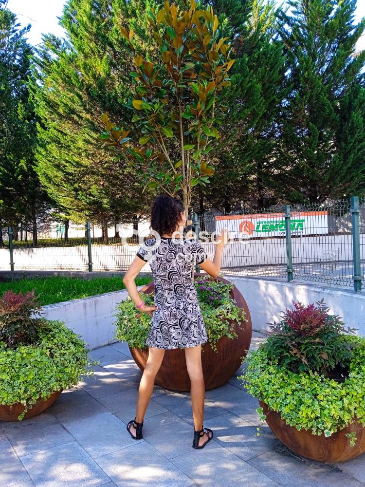 TRANS BILBAINA VASCA HAGO VIRTUAL VIDEOLLAMADAS Y REAL