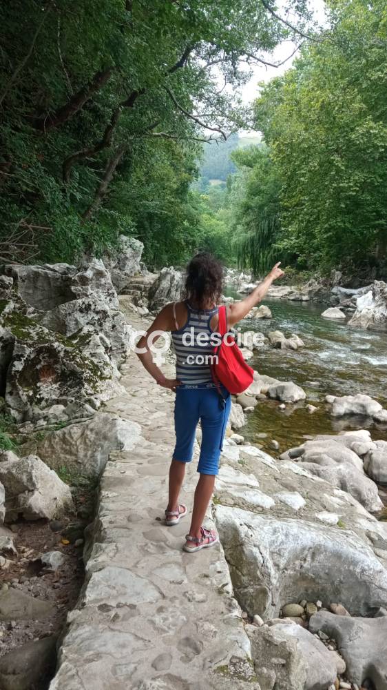 TRANS BILBAINA VASCA HAGO VIRTUAL VIDEOLLAMADAS Y REAL