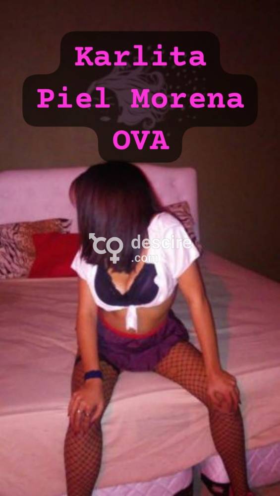 Tu Zorrita Independiente