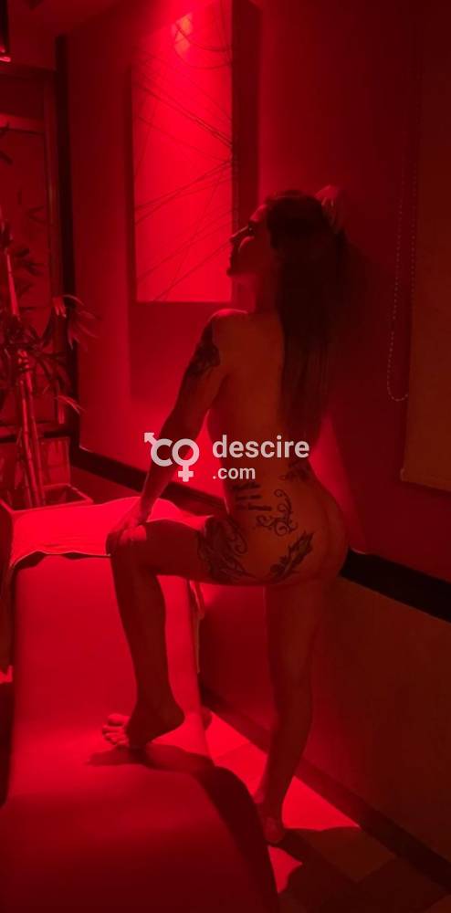 Solcito de caballito