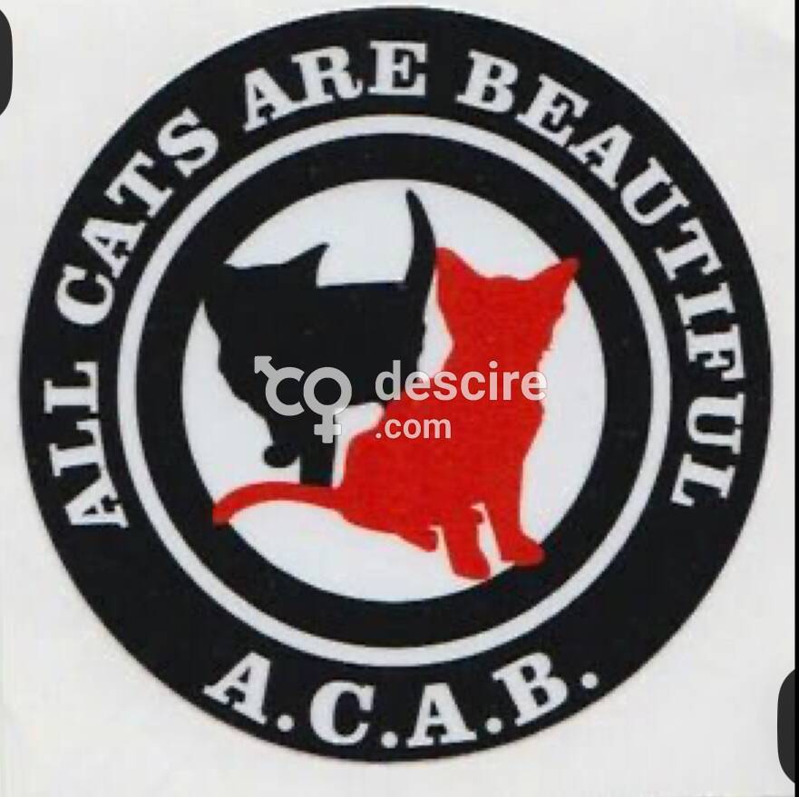 Tatoueur Marginal Mr Humpalot