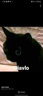 busco amistad, amigos con derecho o lo que surja