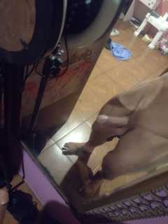 Sexo y video llamada hot